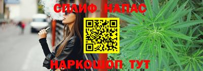 стафф Новокубанск