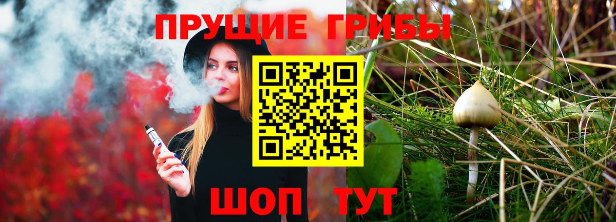 Галлюциногенные грибы Psilocybe  цены наркотик  Саки  Вход с VPN  Галлюциногенные грибы Psilocybe 